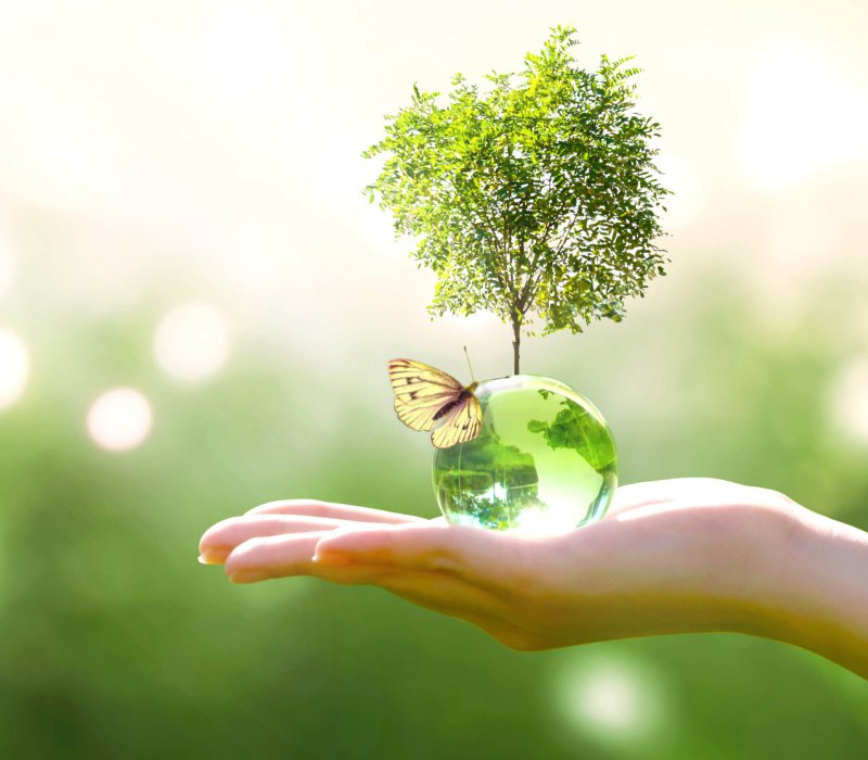 Earth crystal glass globe ball and growing tree in human hand, flying butterfly on green background. Saving environment, save clean planet, ecology concept. Card for World Earth Day.